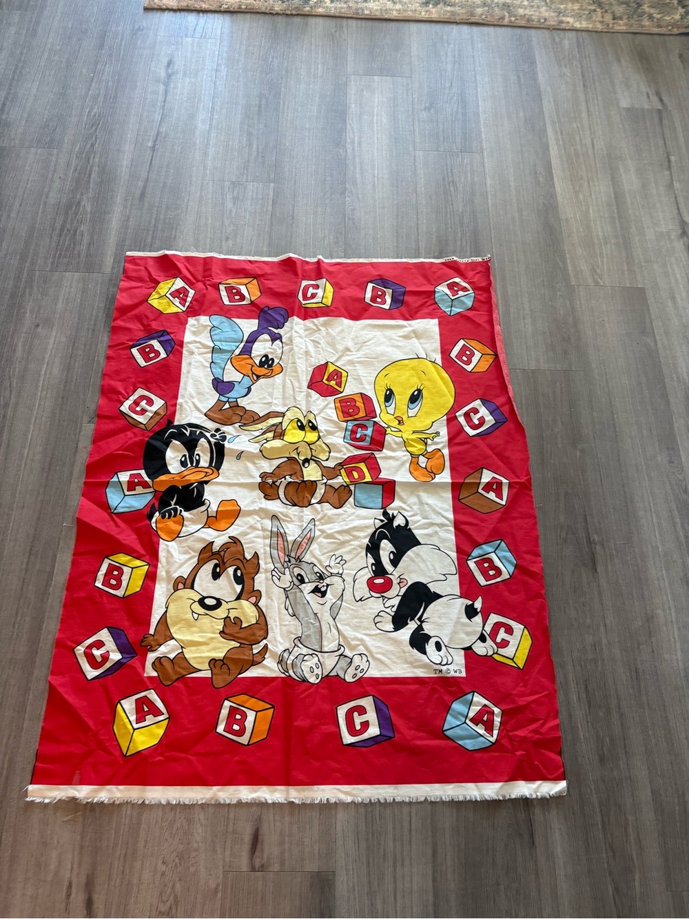 Looney Tunes Kids Red Character Cloth Featuring Tweety & Friends